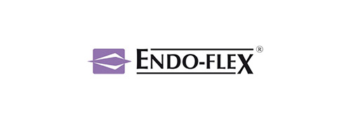 Endo-Flex GmbH logo