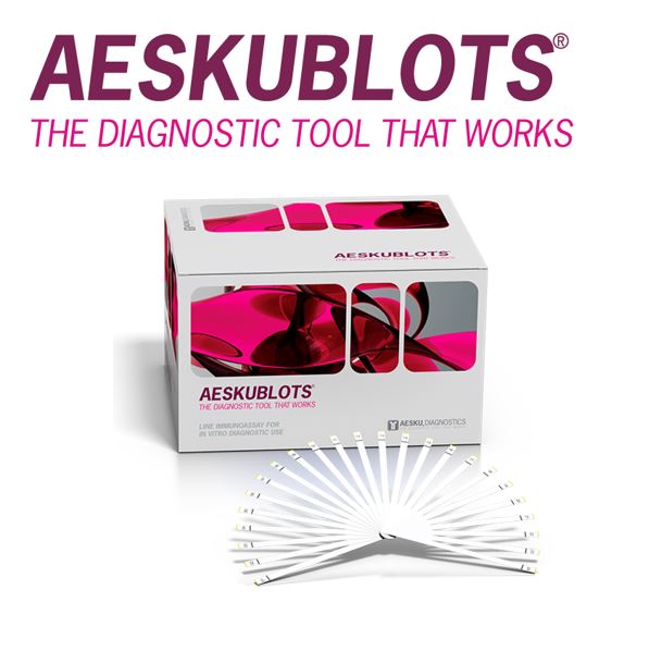 AESKUBLOTS // A STRATEGIC LINE-UP TO CHASE CLEAR RESULTS