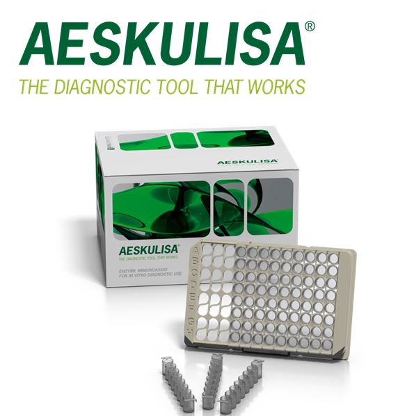 AESKULISA // THE AESKU "ONE" CONCEPT