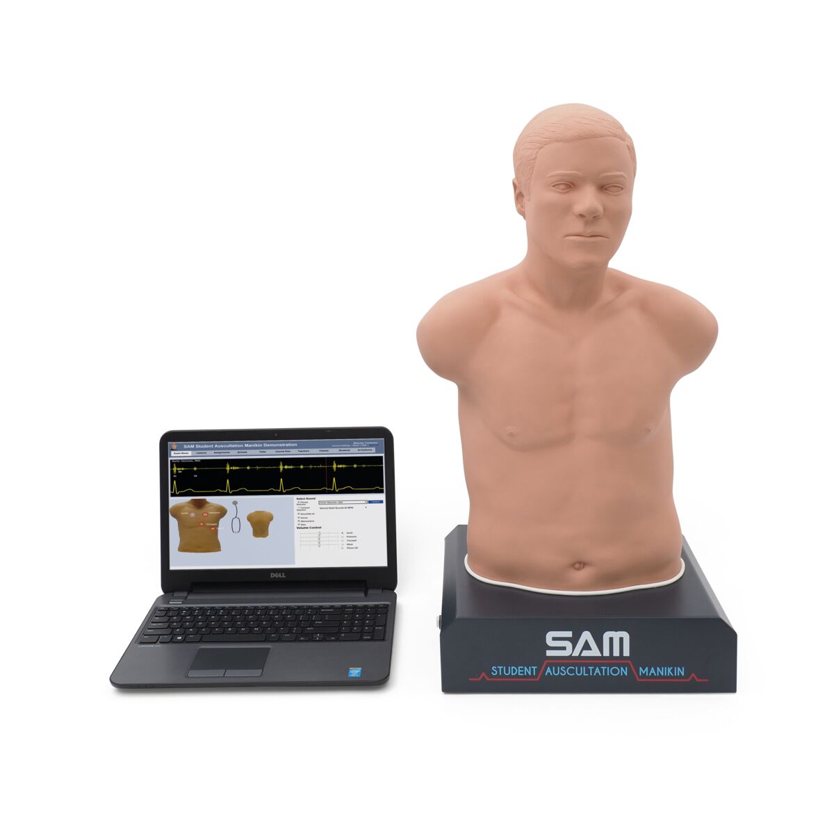 Auscultation manikin - SAM II