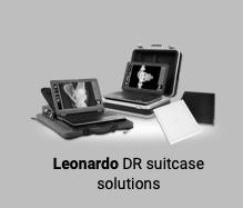 Leonardo DR Systems