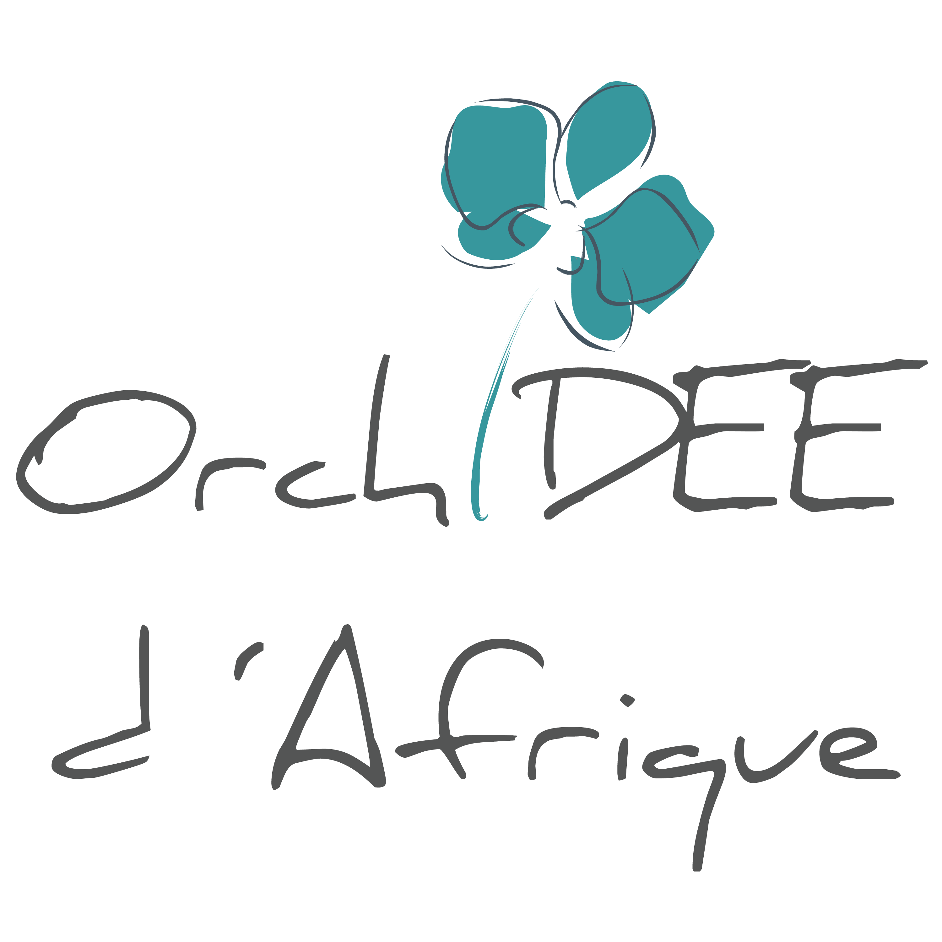 OrchIDEE d'Afrique logo