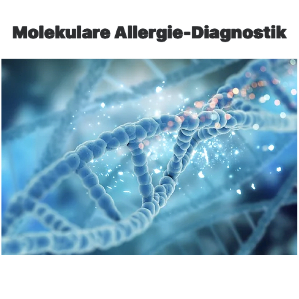 Molecular Allergy Diagnosis